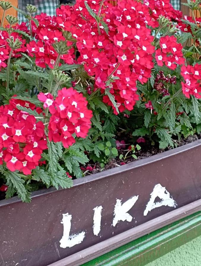 Ivona - Kuca Za Odmor Perusic - Stara Lika Daire Dış mekan fotoğraf