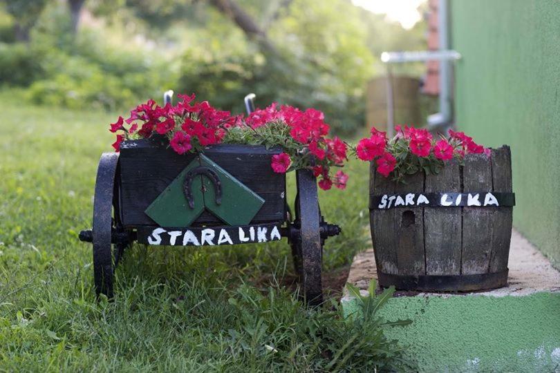 Ivona - Kuca Za Odmor Perusic - Stara Lika Daire Dış mekan fotoğraf